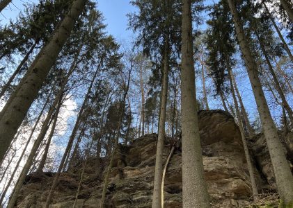 Luxembourg – Day trip : Hike, Yoga & Wine Tasting