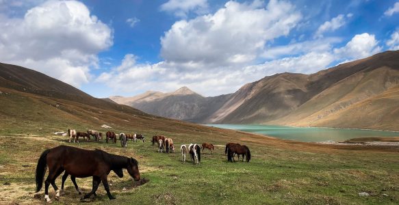 Kyrgyzstan – Hike, horse riding & soft yoga